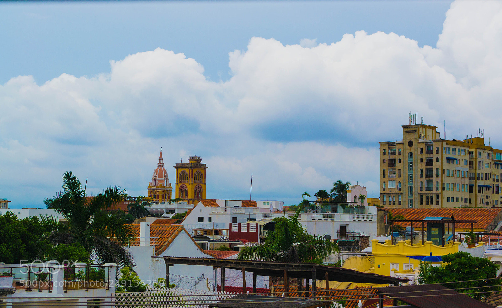 Nikon D3100 sample photo. Untitled photography