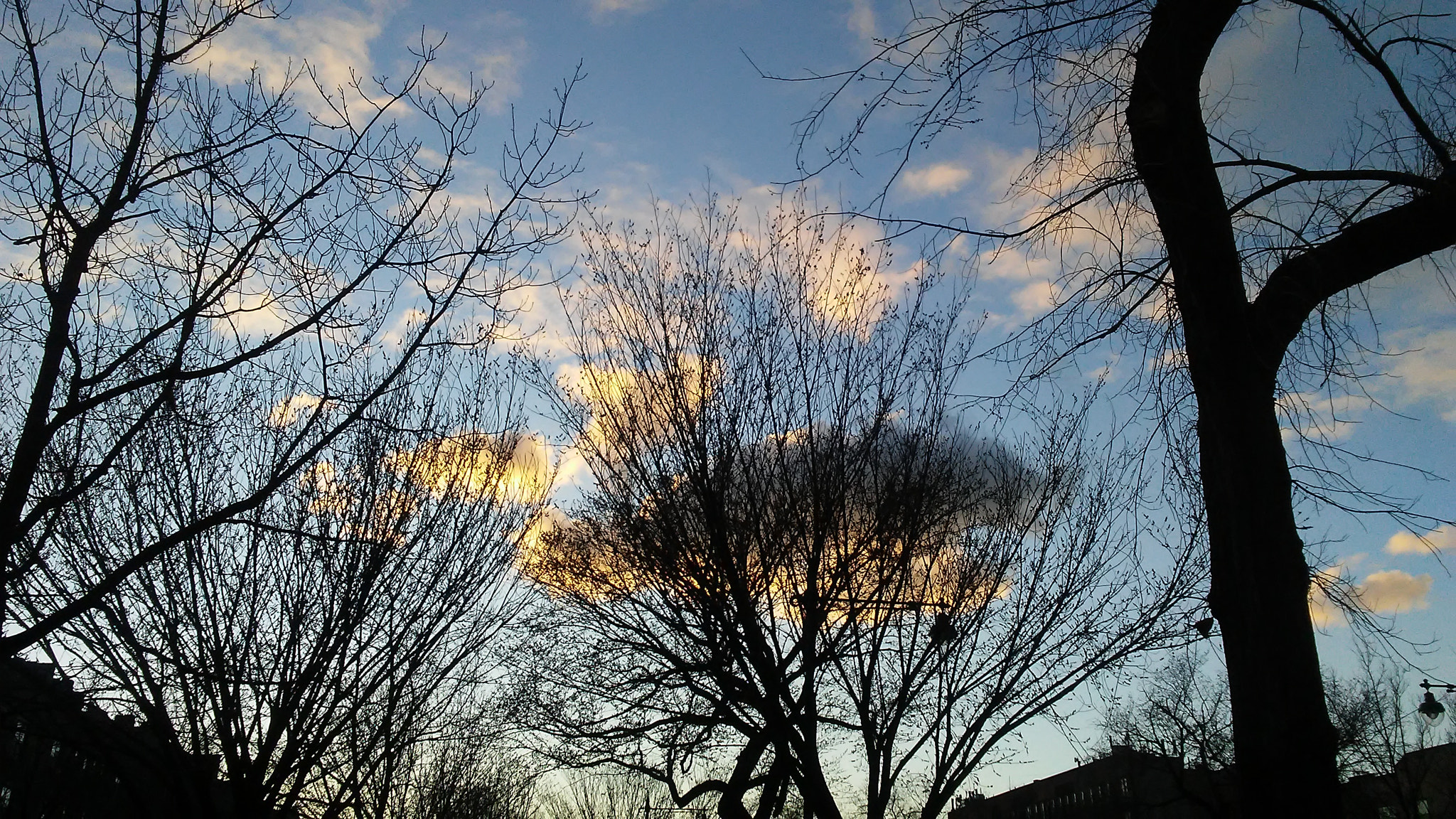 LG K10 sample photo. Sunset photography