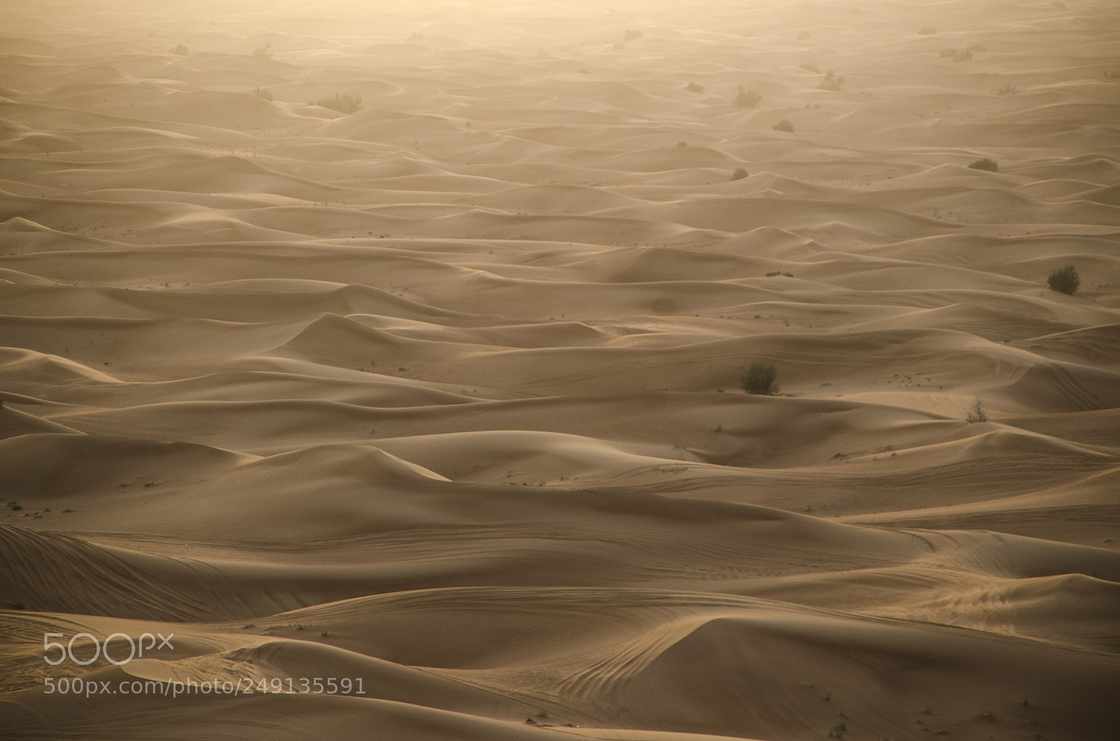 Nikon D7000 sample photo. Desert photography