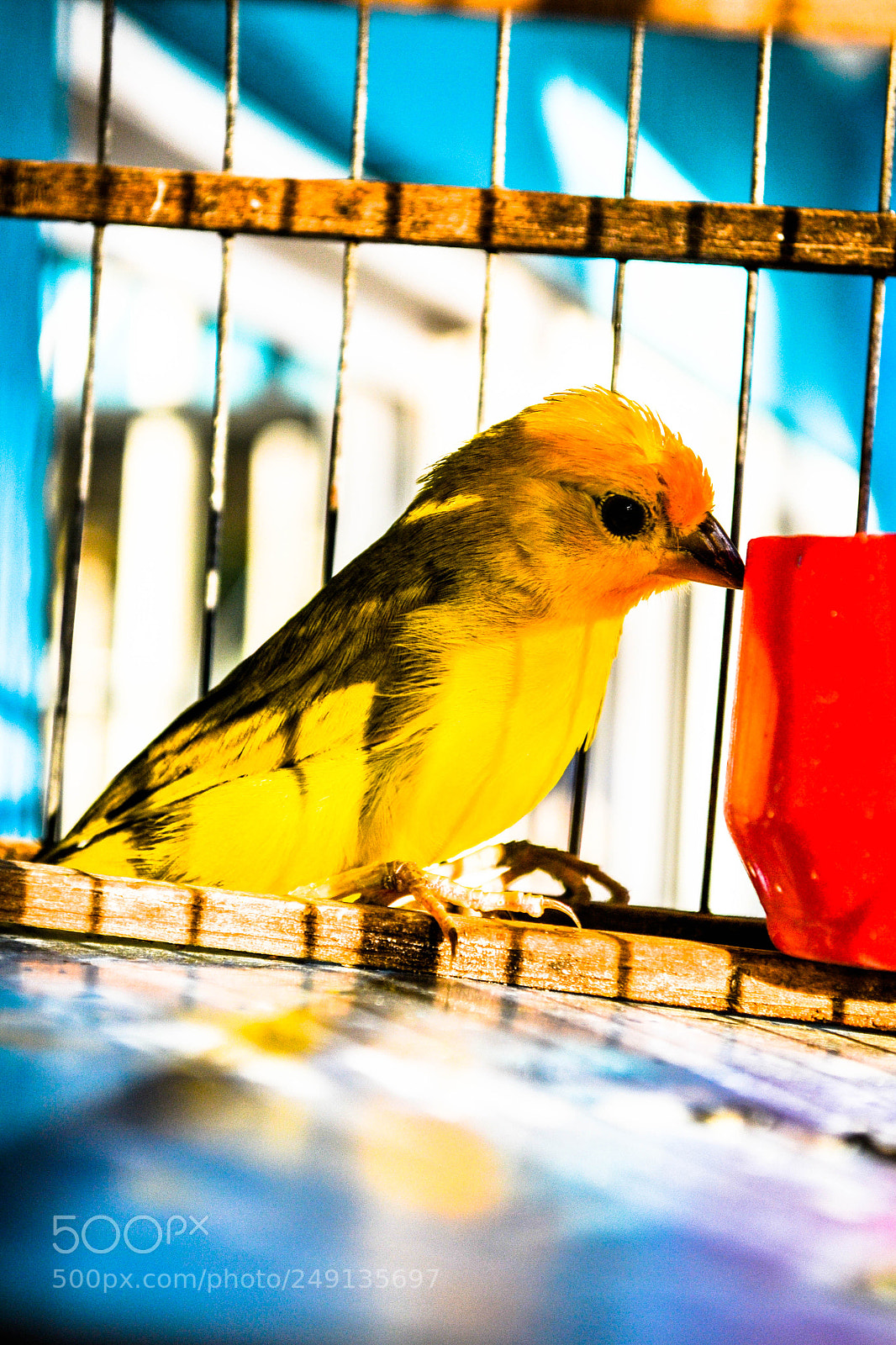 Nikon D3100 sample photo. Untitled photography