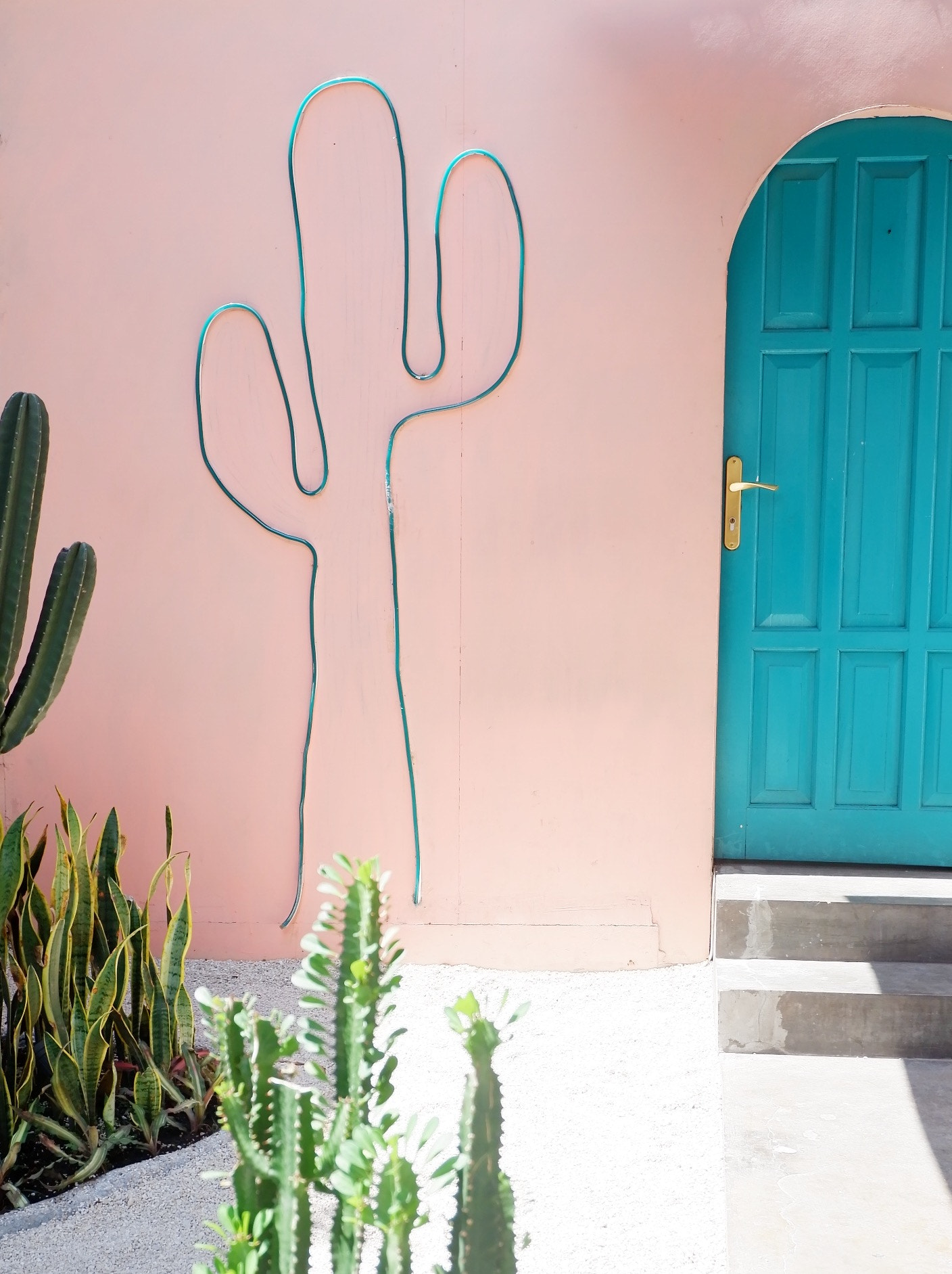 Fujifilm X-A10 sample photo. 🌵 photography