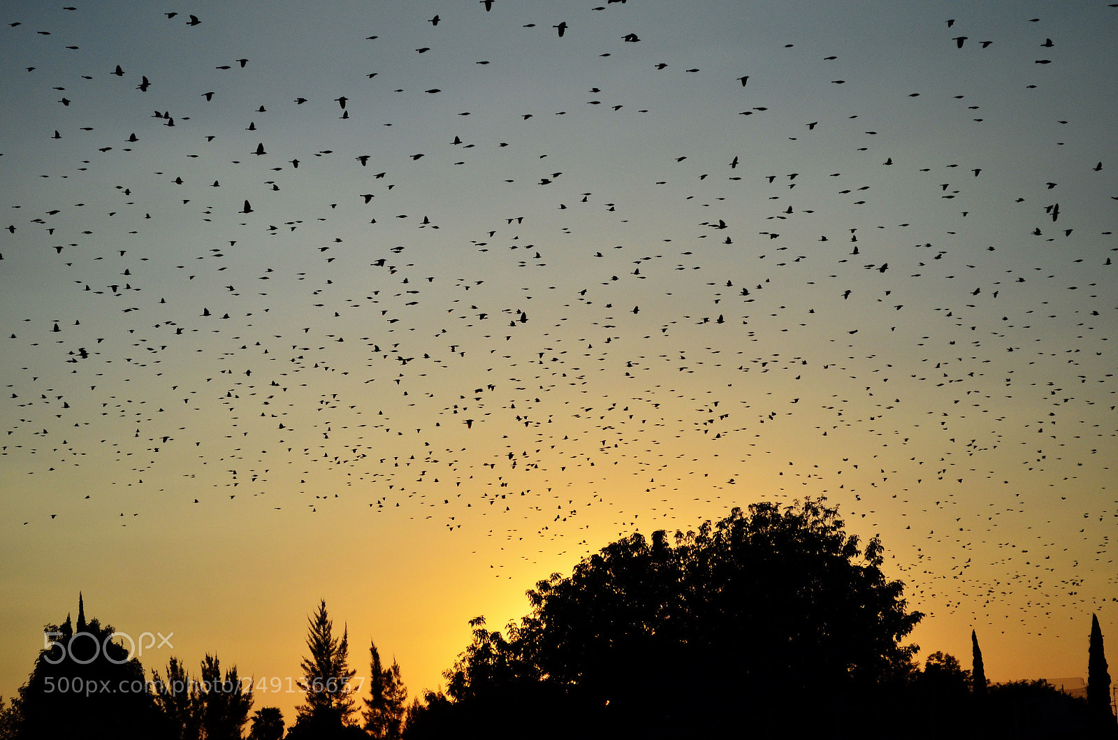 Nikon D5100 sample photo. Untitled photography