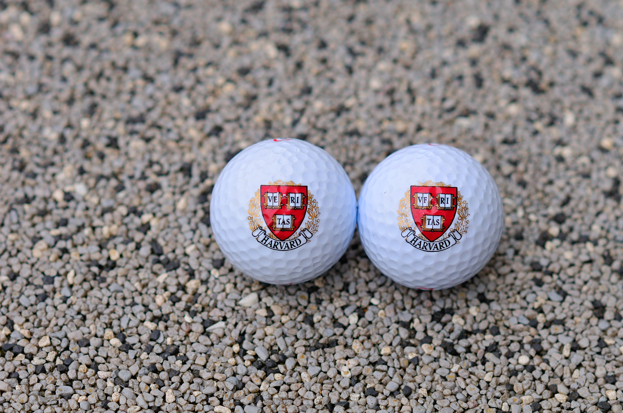 Nikon D300 + Nikon AF-S Nikkor 85mm F1.8G sample photo. Harvard golf balls photography