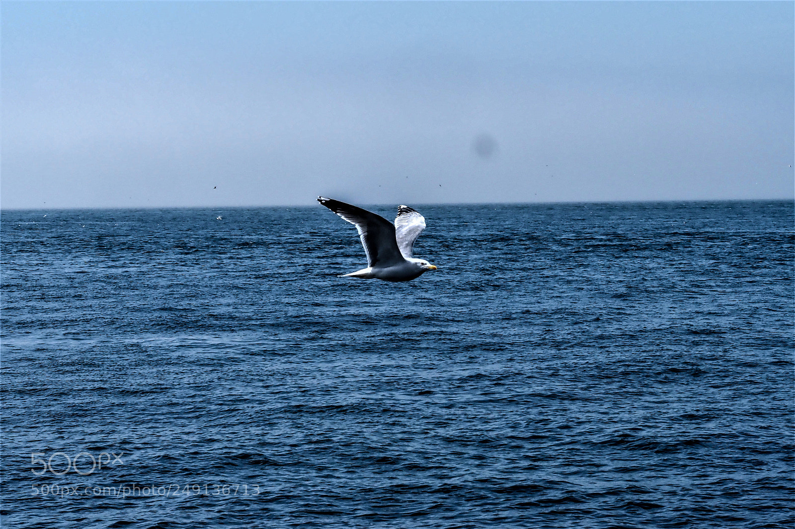 Olympus OM-D E-M1 Mark II sample photo. Olympus digital camera photography