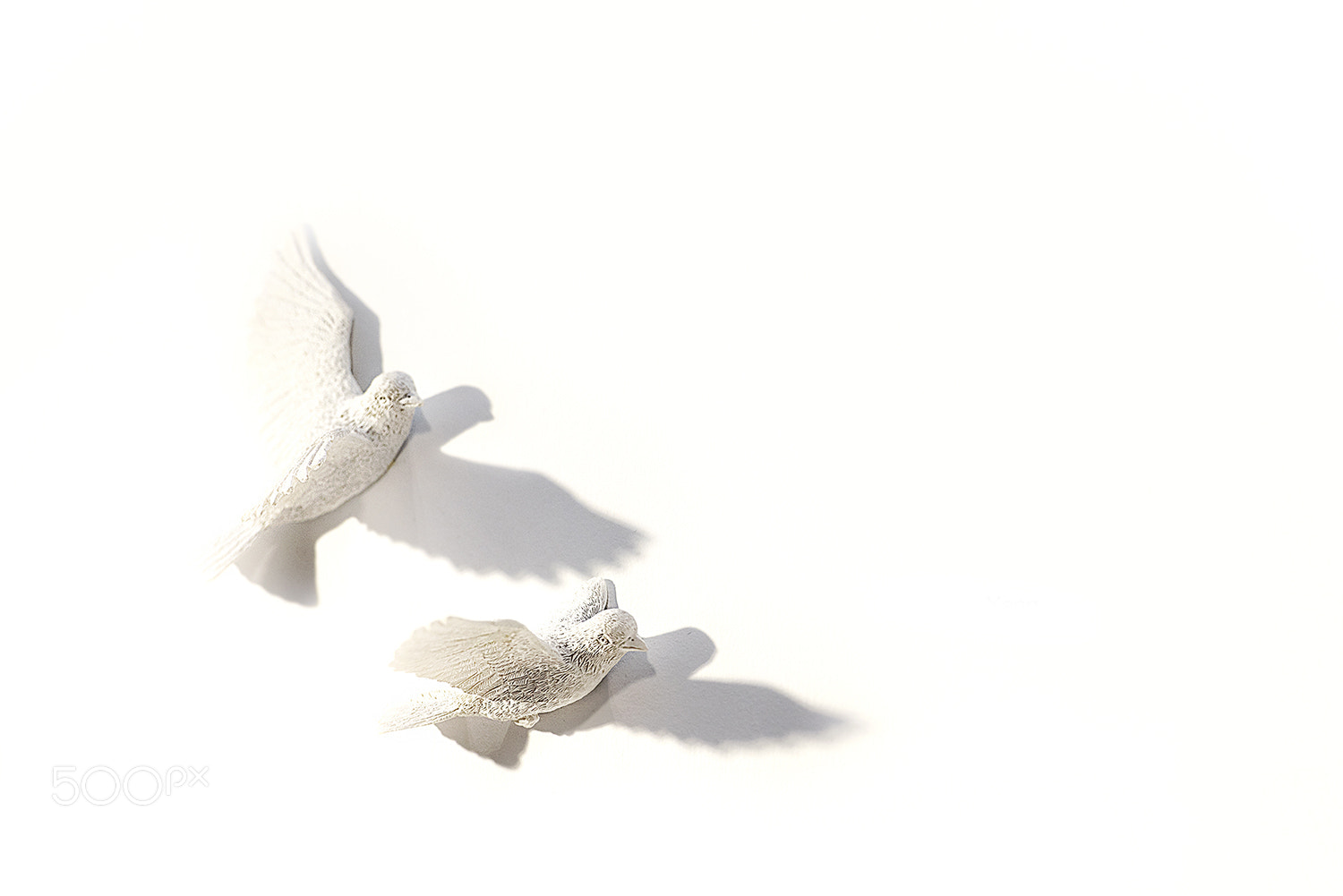 Nikon D810 sample photo. Flying photography