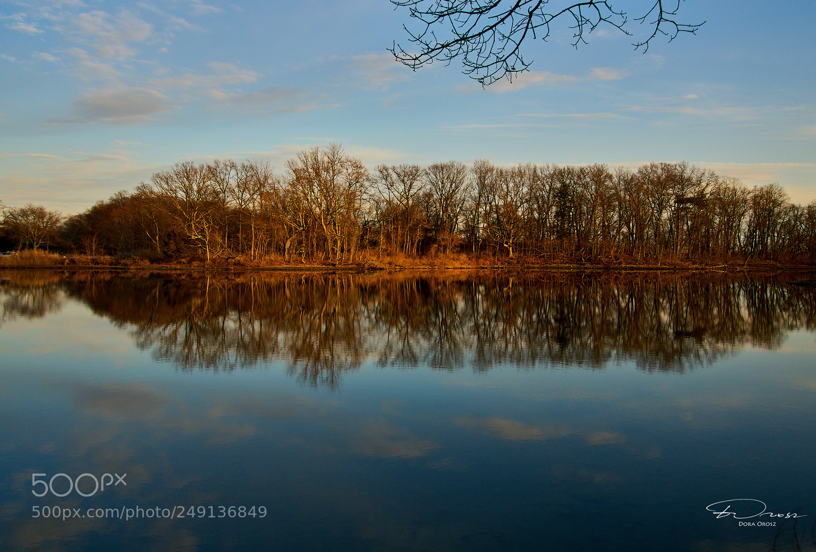Sony a7R II sample photo. Shoreline pond at sunset photography