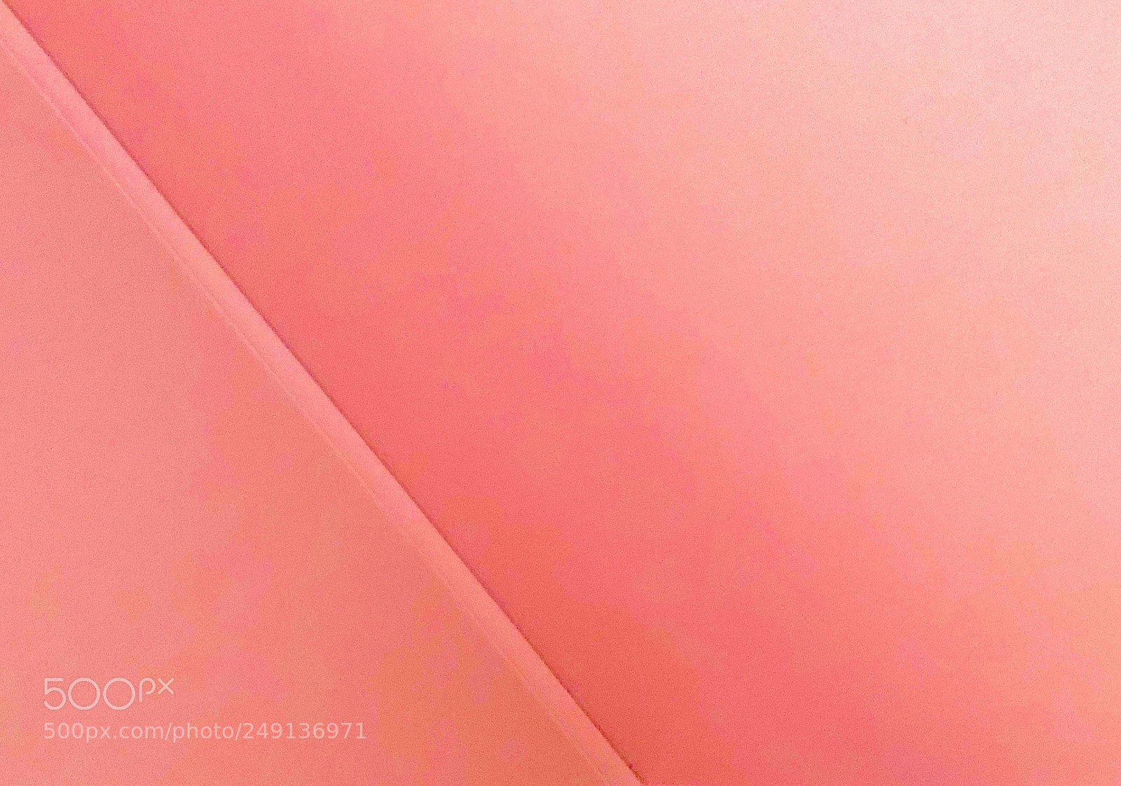 Apple iPhone 8 Plus sample photo. Pink photography