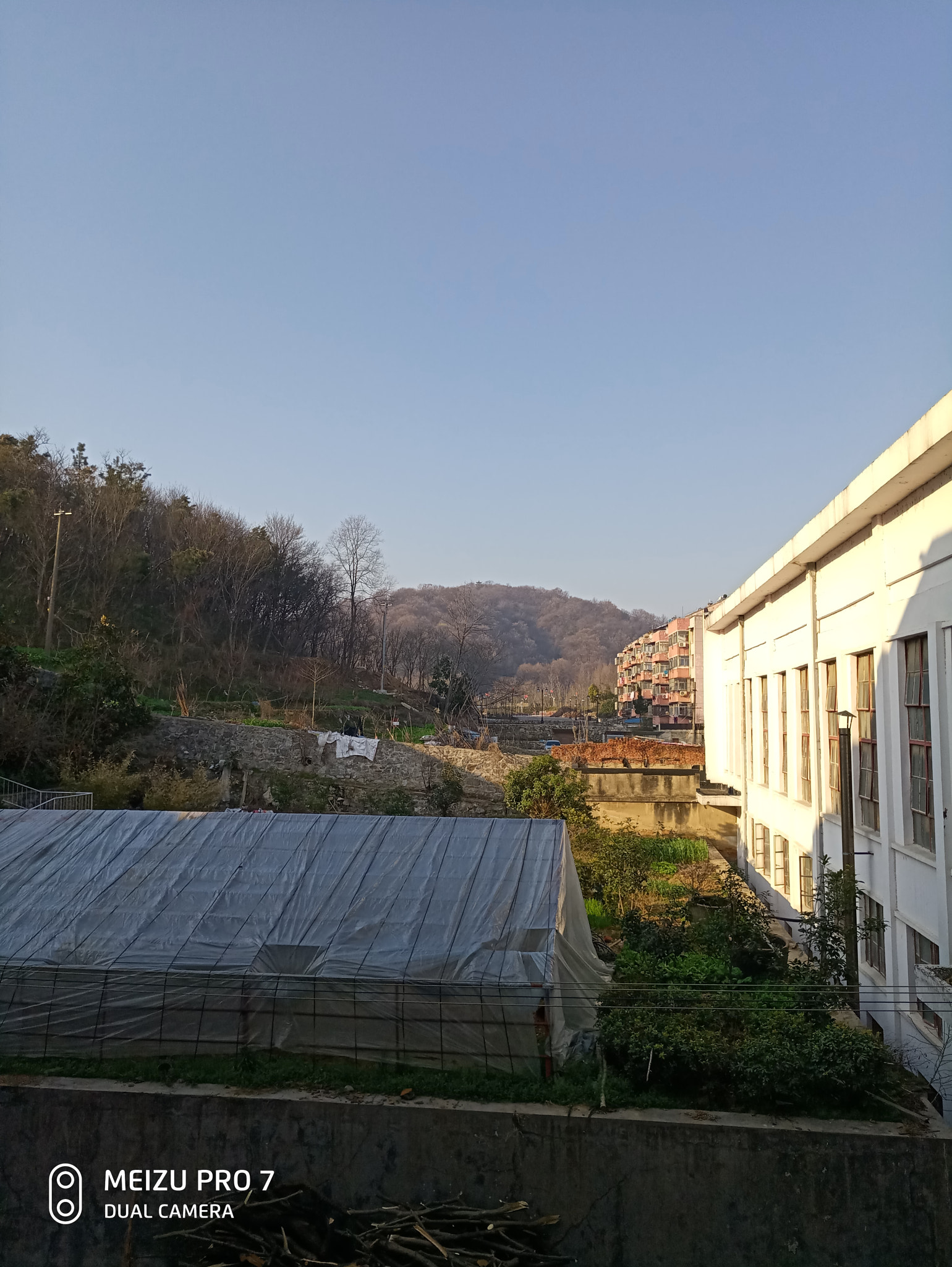 Meizu PRO 7-S sample photo