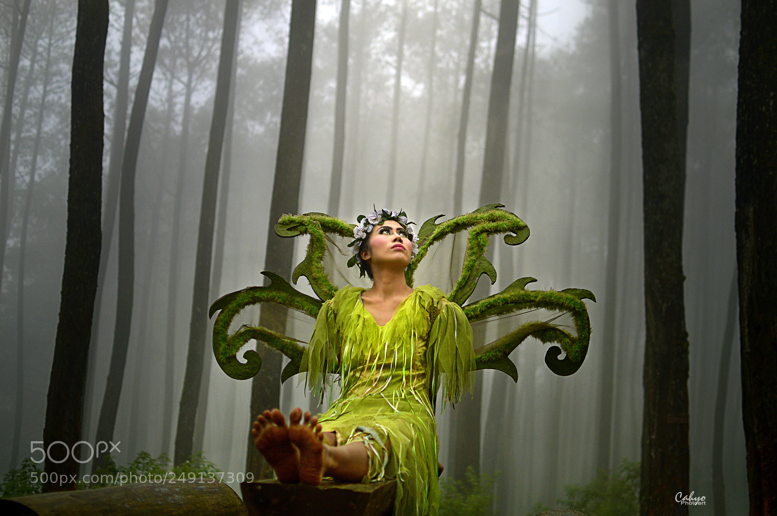 Nikon D3200 sample photo. Forest fairy photography