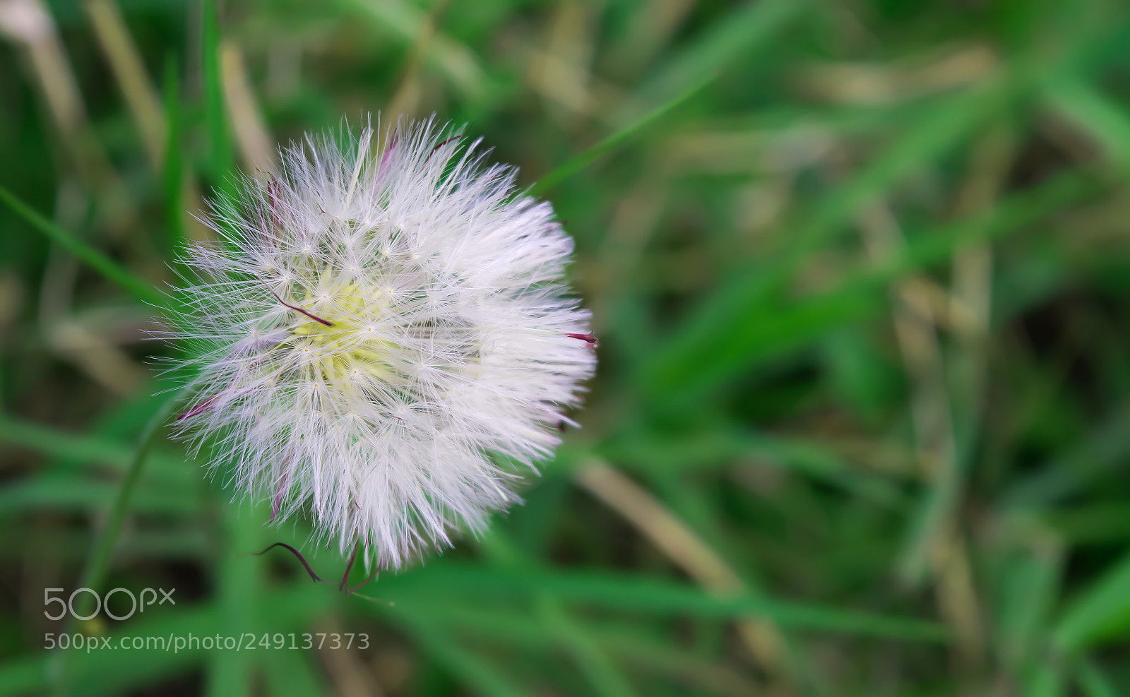 Nikon D3300 sample photo. Untitled photography