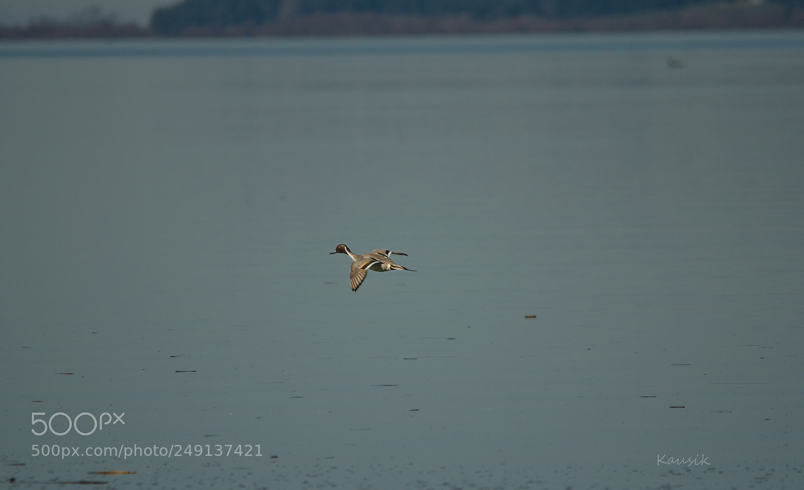 Nikon D5100 sample photo. Flight photography