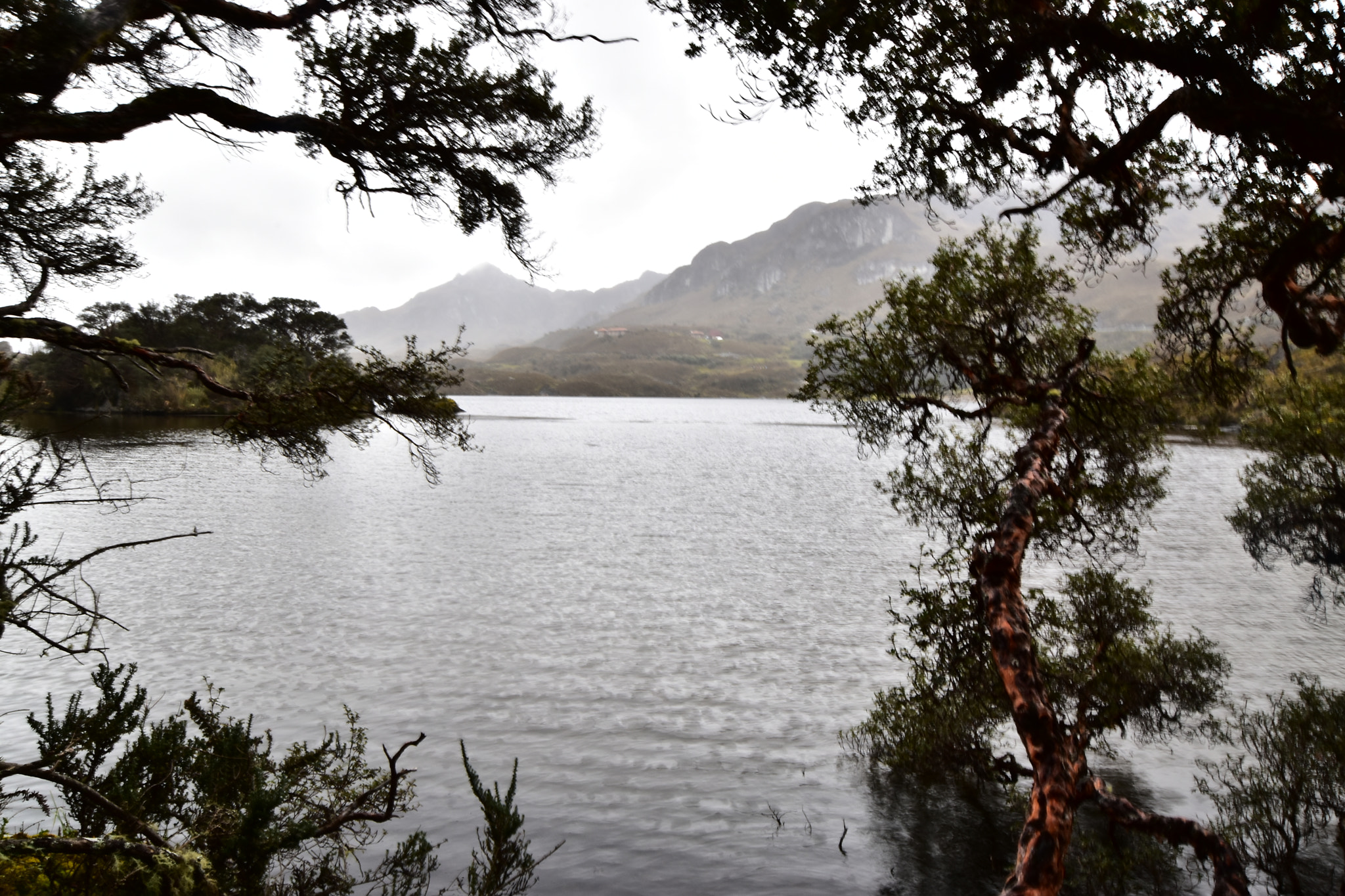 Nikon D5600 sample photo. El cajas park, a beautiful landscape near cuenca - ecuador. photography