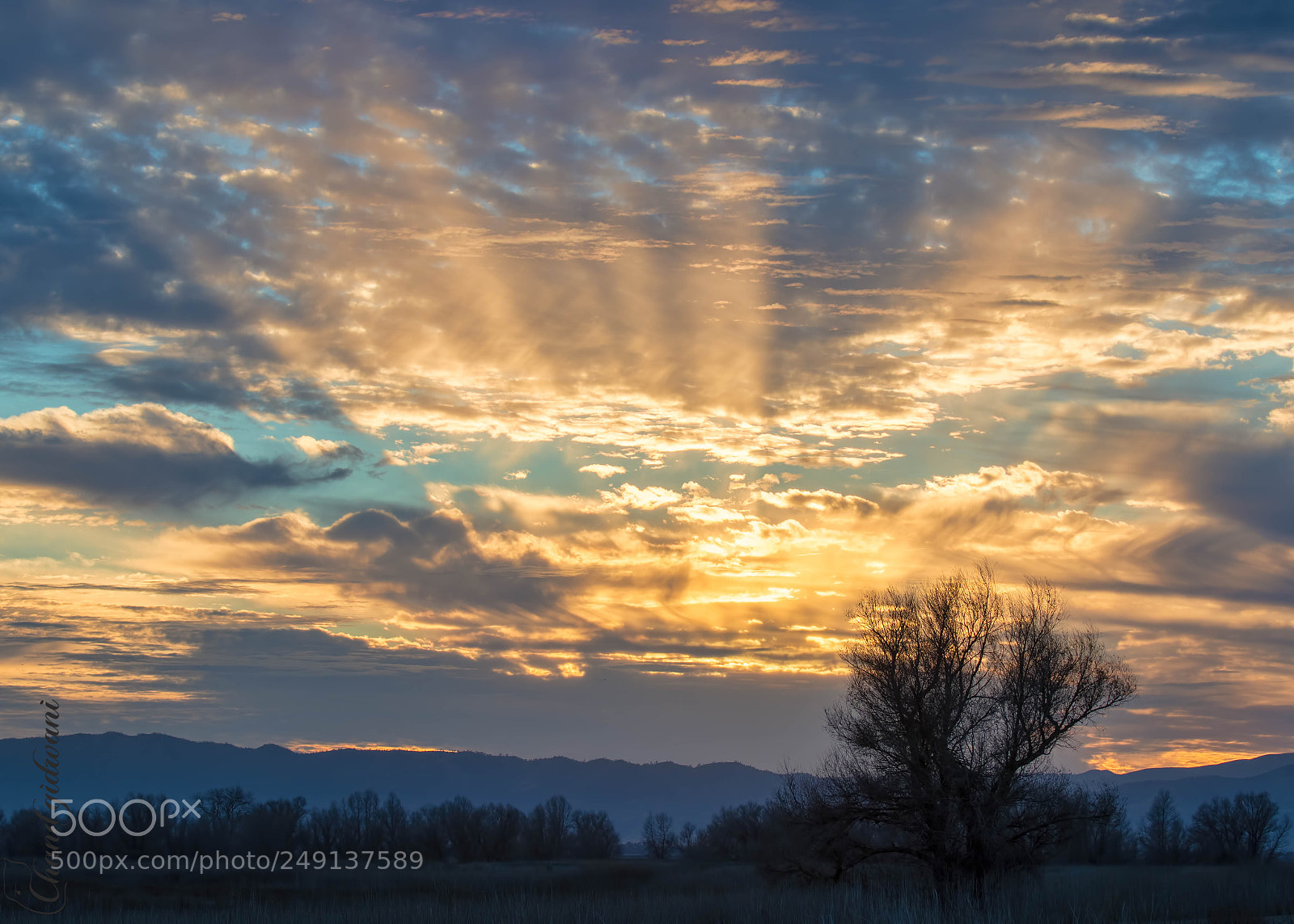 Nikon D500 sample photo. Winter sunset photography