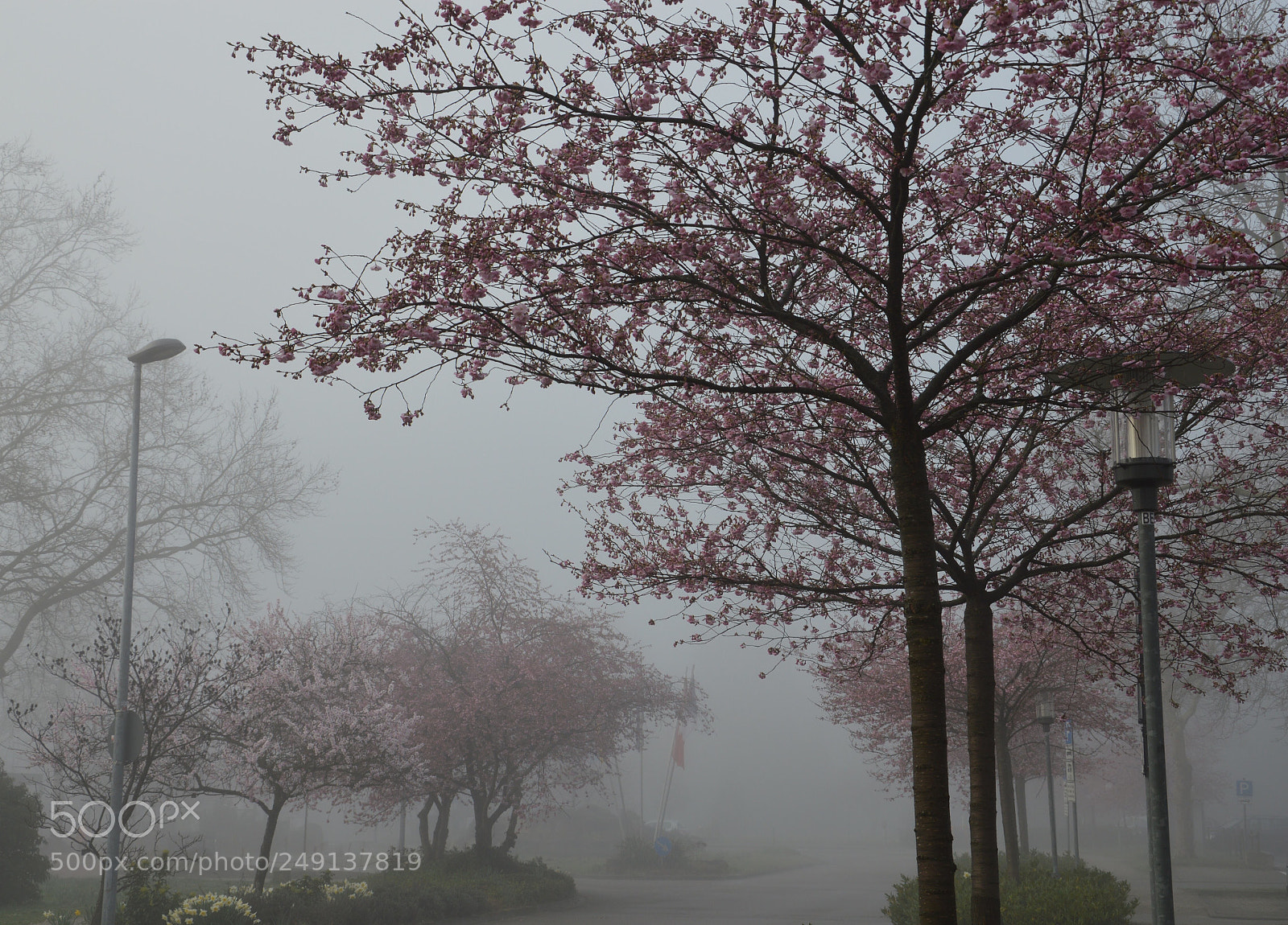 Nikon D3200 sample photo. Spring photography