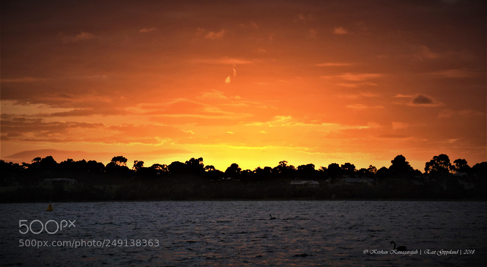 Nikon D7200 sample photo. Ads photography