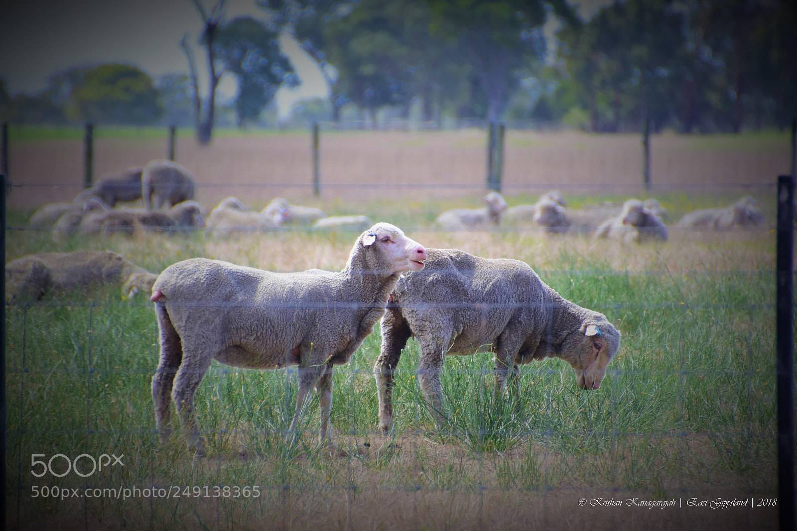 Nikon D7200 sample photo. Ads photography