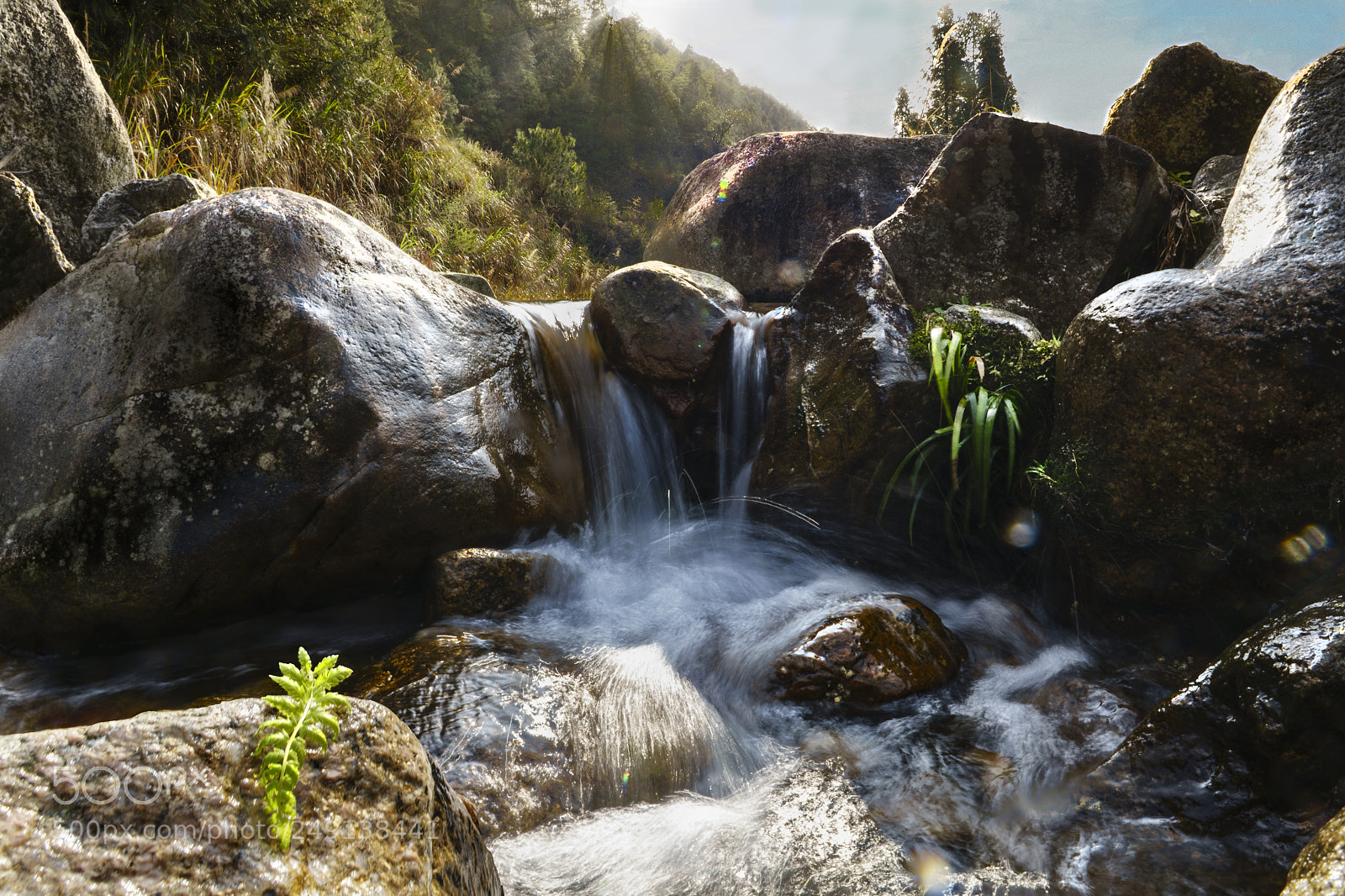 Sony a7R II sample photo. Sun bath gray photography