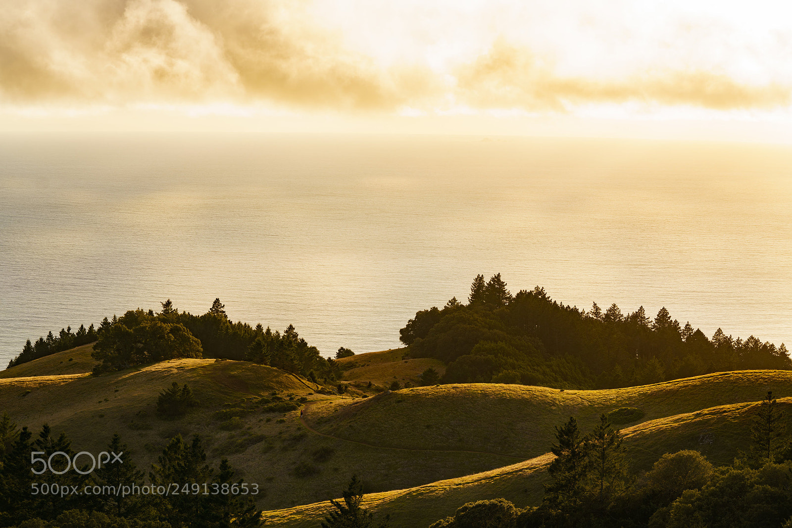 Sony a7R III sample photo. Untitled photography