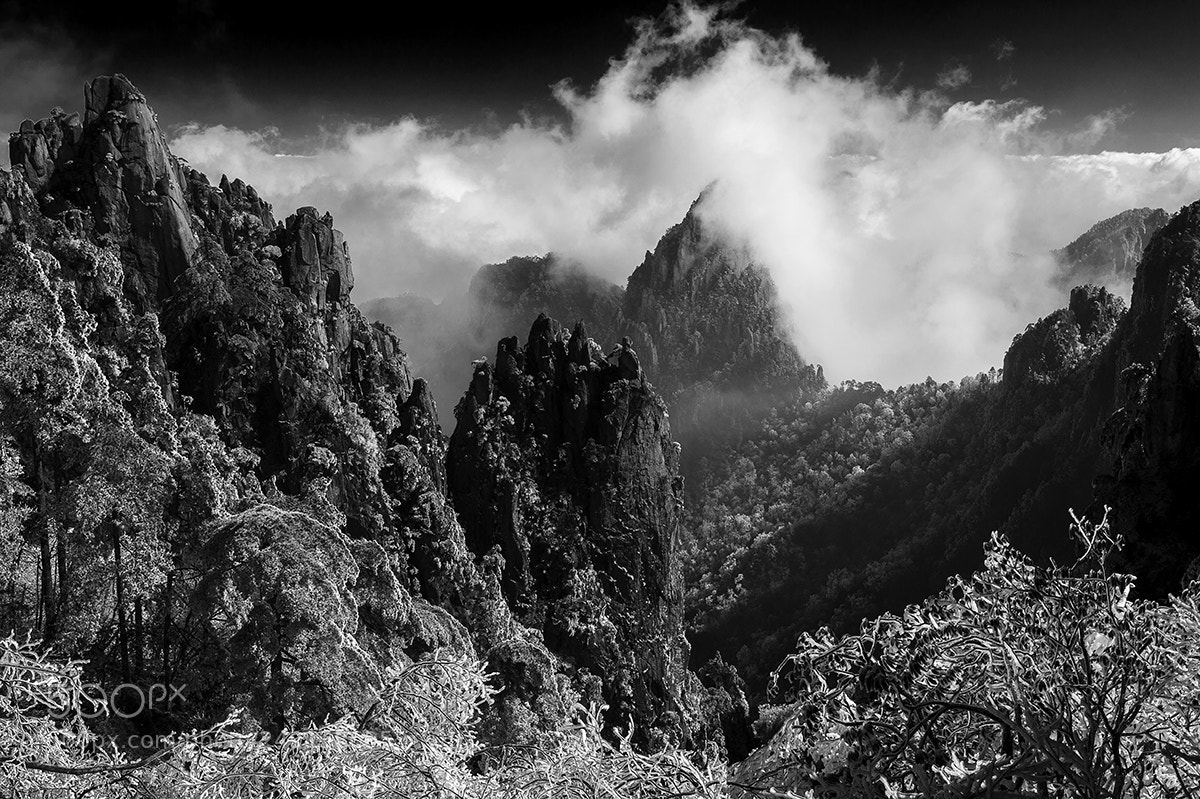 Nikon D4S sample photo. The sound of nature photography