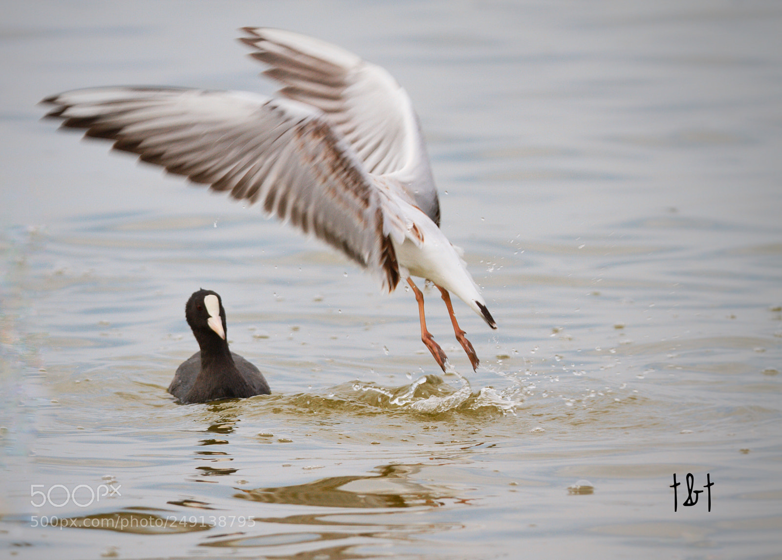Canon EOS 7D sample photo. Untitled photography