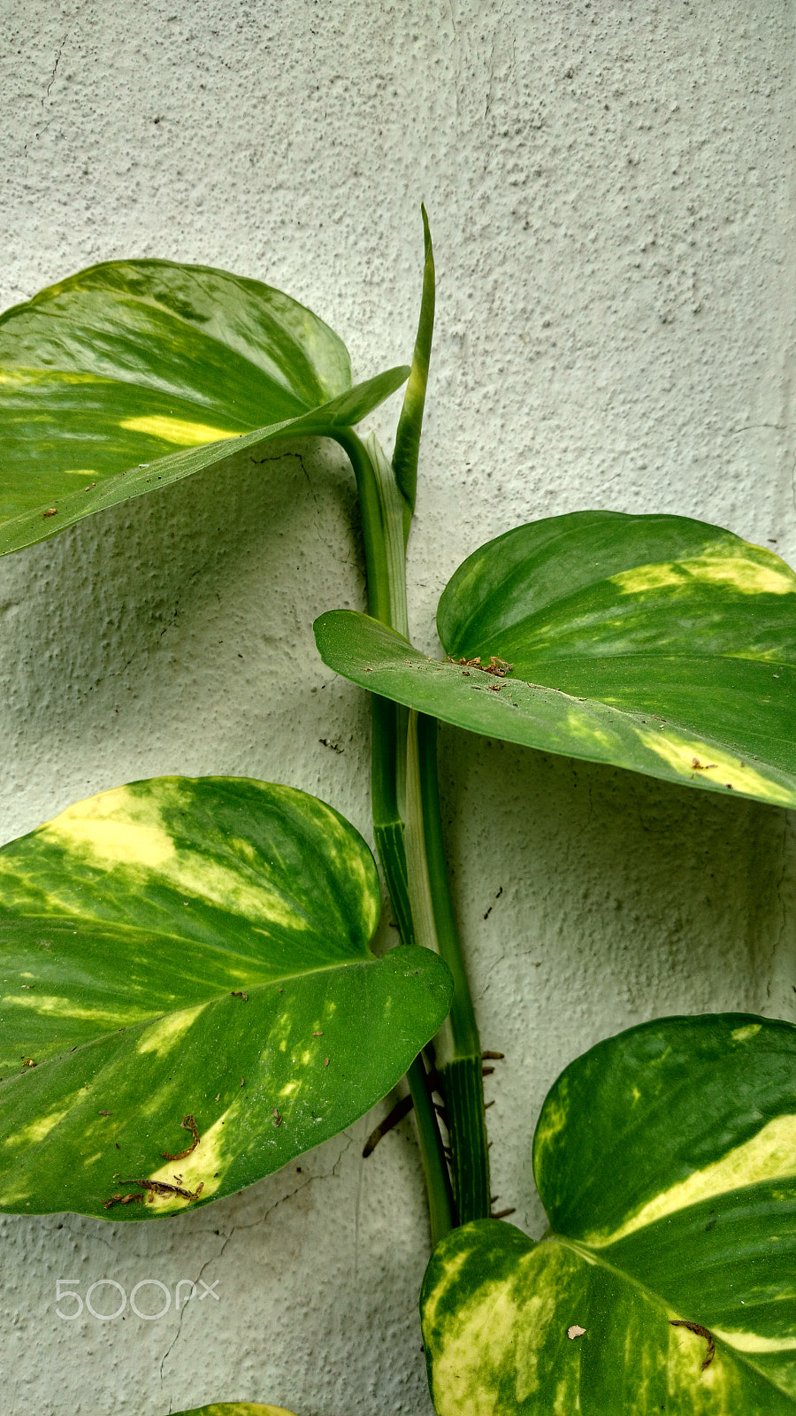 Motorola Moto X Play sample photo. Hdr photography