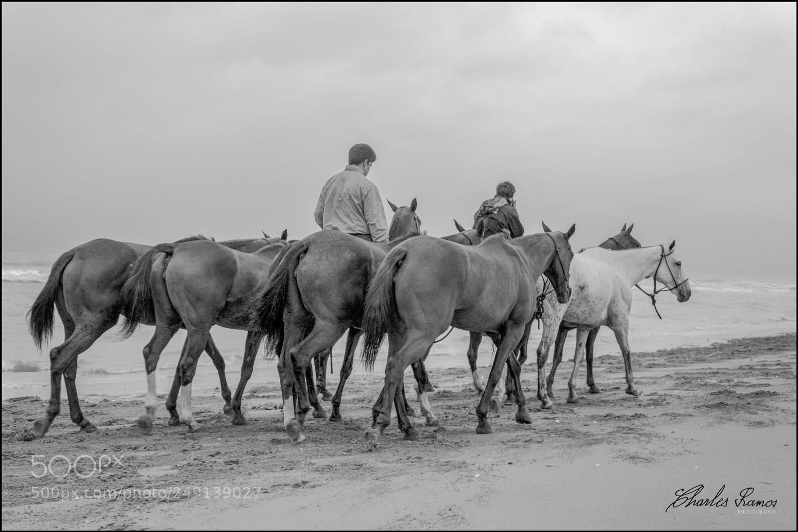 Nikon D7200 sample photo. La marche paisible photography