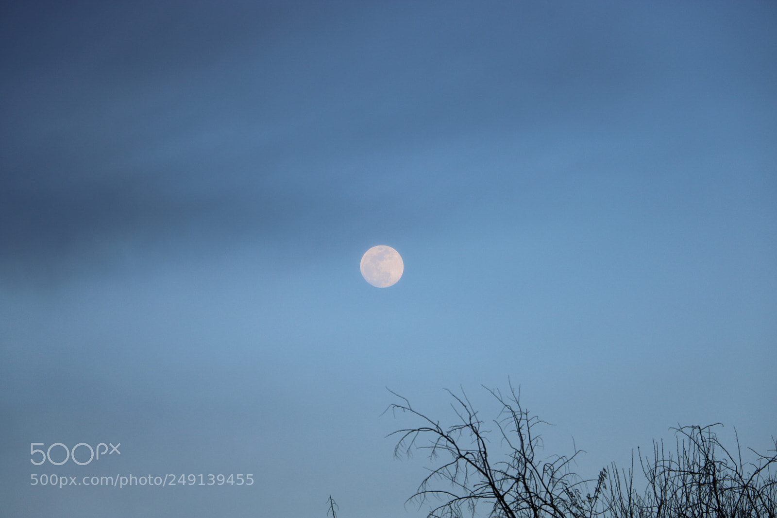 Canon EOS 750D (EOS Rebel T6i / EOS Kiss X8i) sample photo. The full moon photography