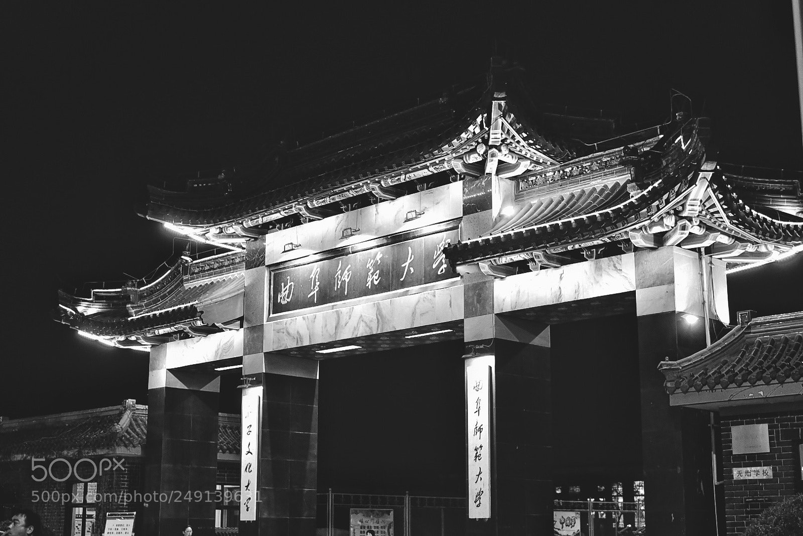 Nikon D500 sample photo. Untitled photography