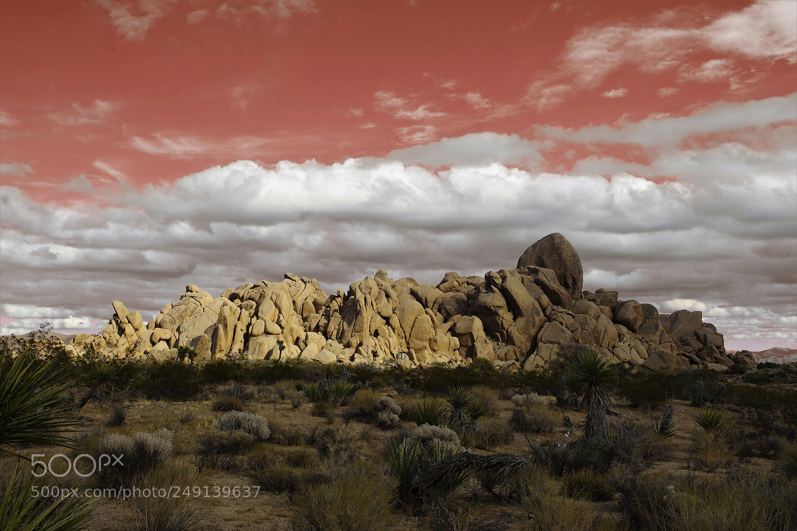 Pentax K-70 sample photo. Rocking the desert photography