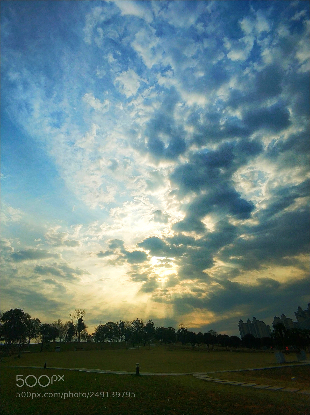 Xiaomi MI6 sample photo. Untitled photography