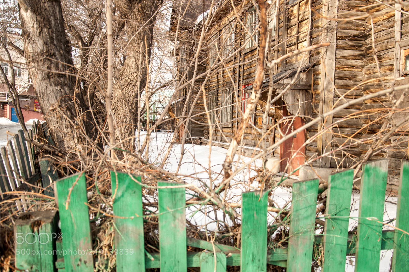 Nikon D5000 sample photo. Spring in siberia photography