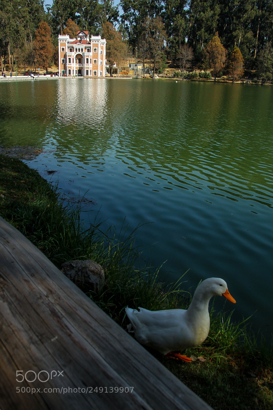 Canon EOS 60D sample photo. Cp1 photography
