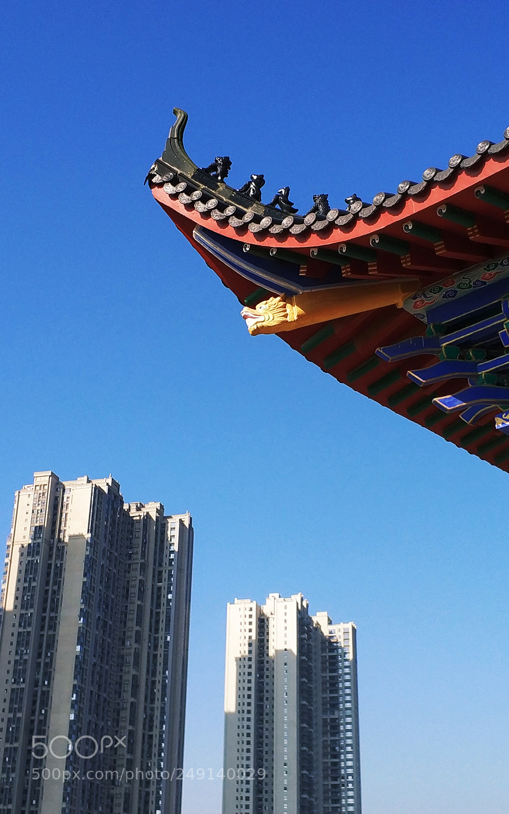 Xiaomi MI6 sample photo. Untitled photography