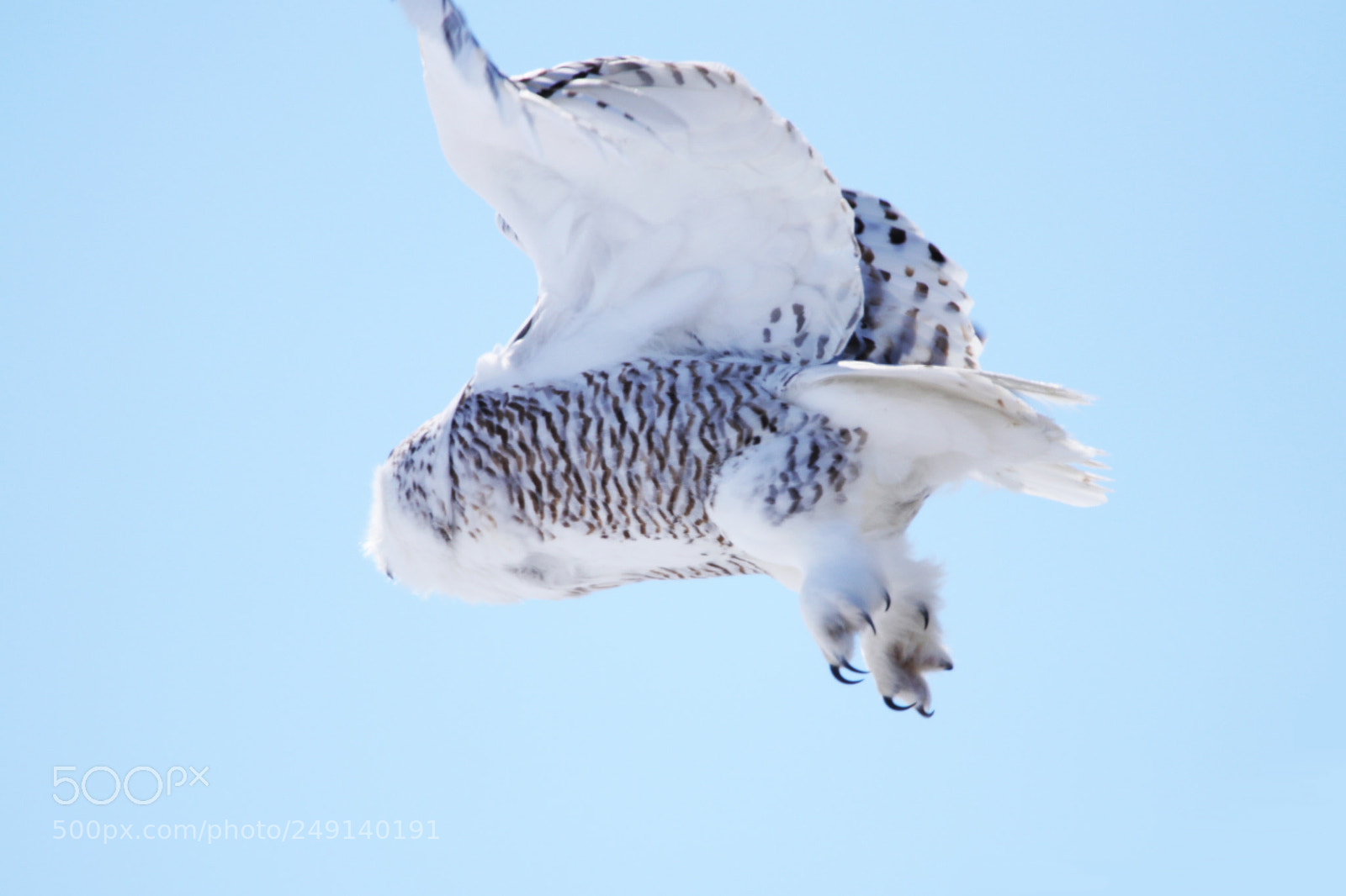 Canon EOS 80D sample photo. Snowy take-off photography