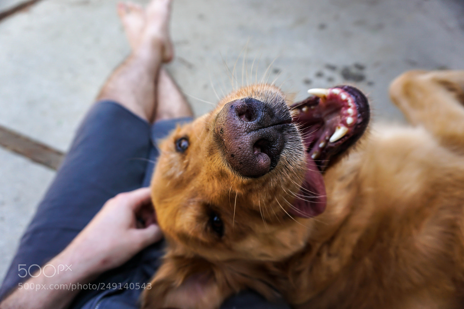 Sony a6000 sample photo. Sully photography