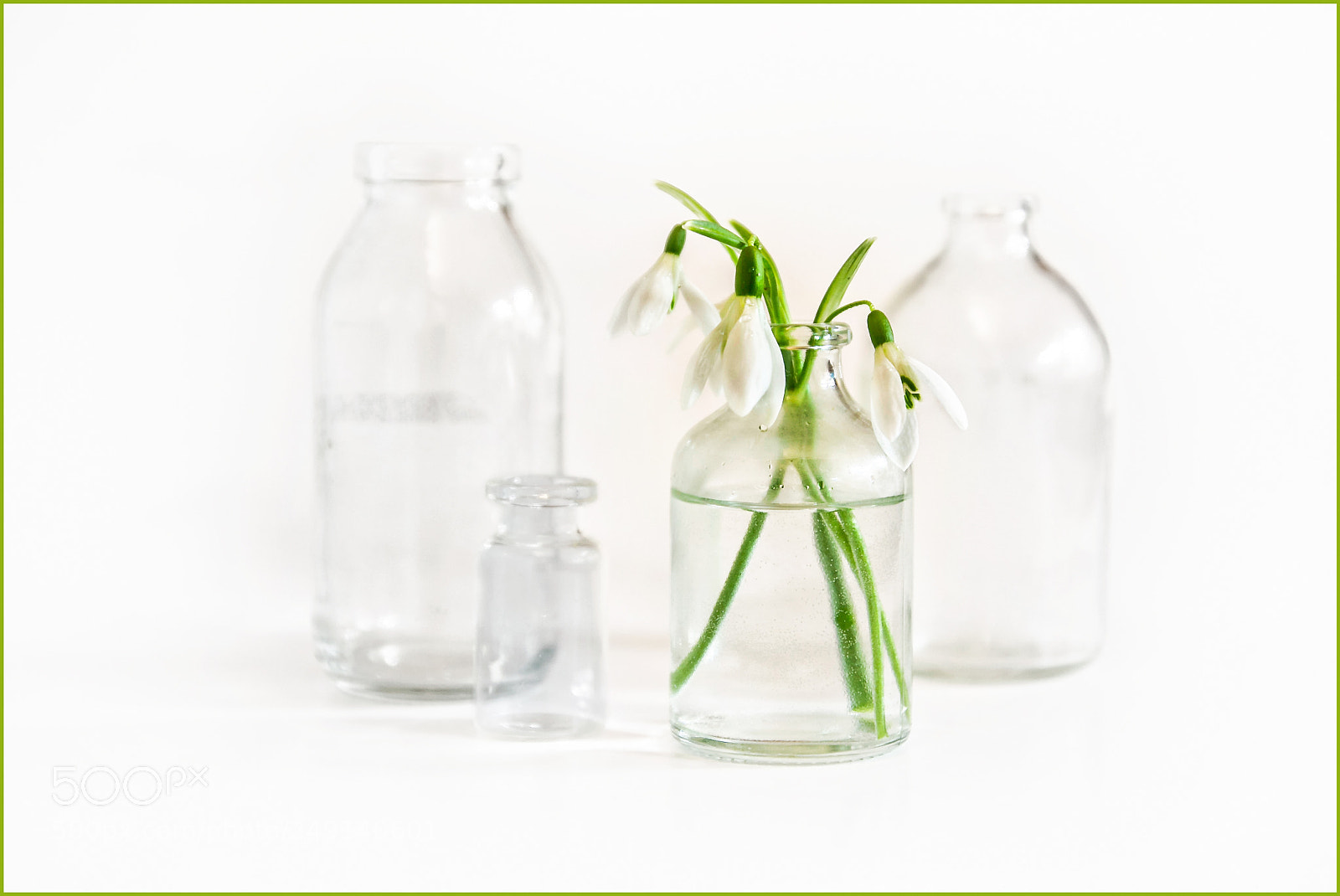 Canon EOS 60D sample photo. Snowdrops with glasses photography