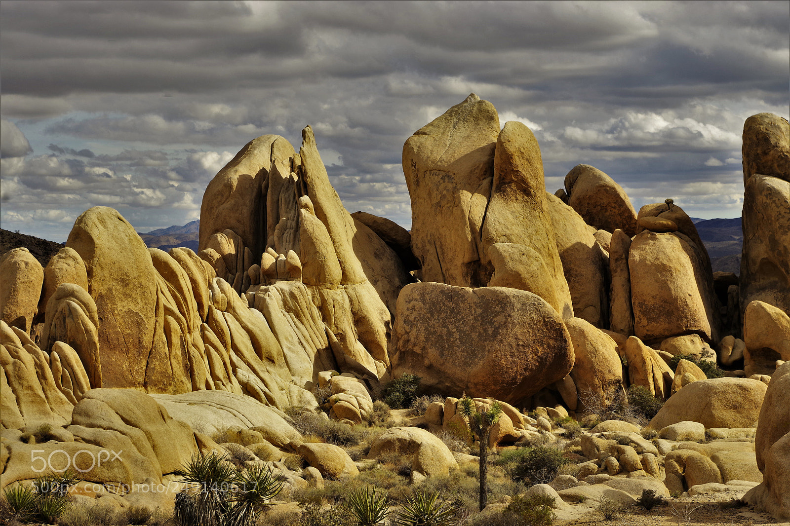 Pentax K-70 sample photo. Rock out with your photography