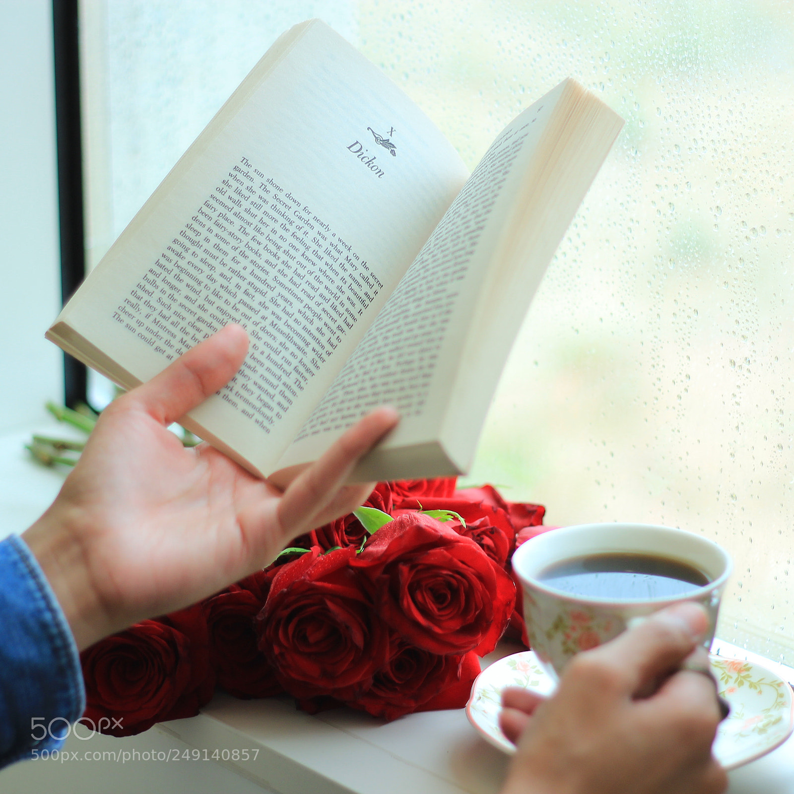 Canon EOS 600D (Rebel EOS T3i / EOS Kiss X5) + Canon EF 50mm F1.8 II sample photo. .. photography