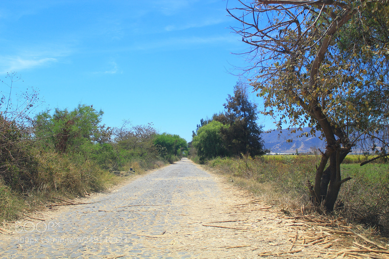 Canon EOS 1200D (EOS Rebel T5 / EOS Kiss X70 / EOS Hi) sample photo. The road photography