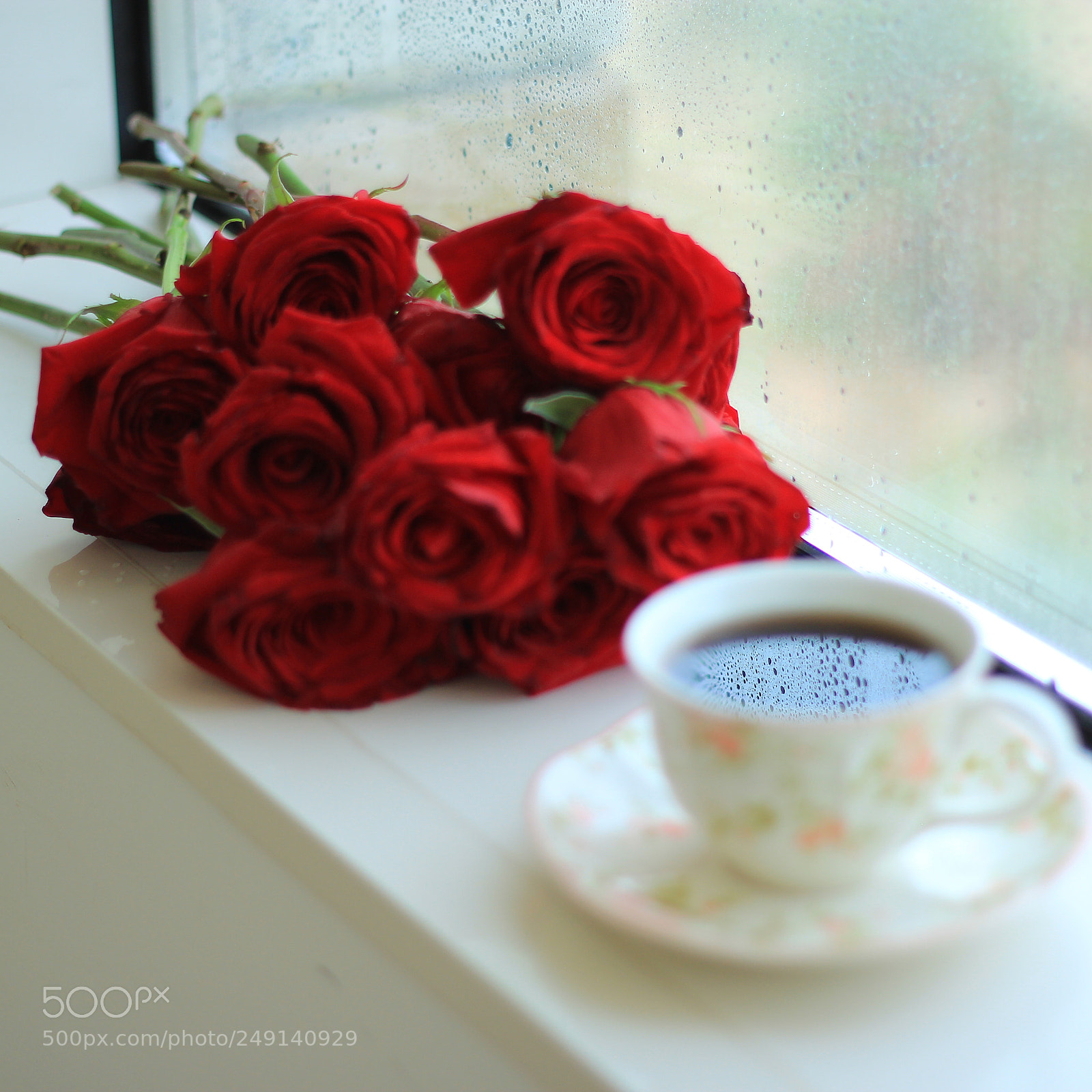Canon EOS 600D (Rebel EOS T3i / EOS Kiss X5) + Canon EF 50mm F1.8 II sample photo. Give love and you photography