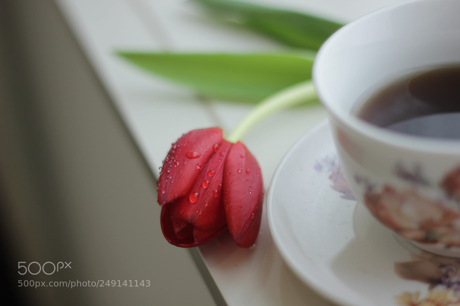 Canon EOS 550D (EOS Rebel T2i / EOS Kiss X4) + Canon EF 50mm F1.8 II sample photo. Simplicity . photography
