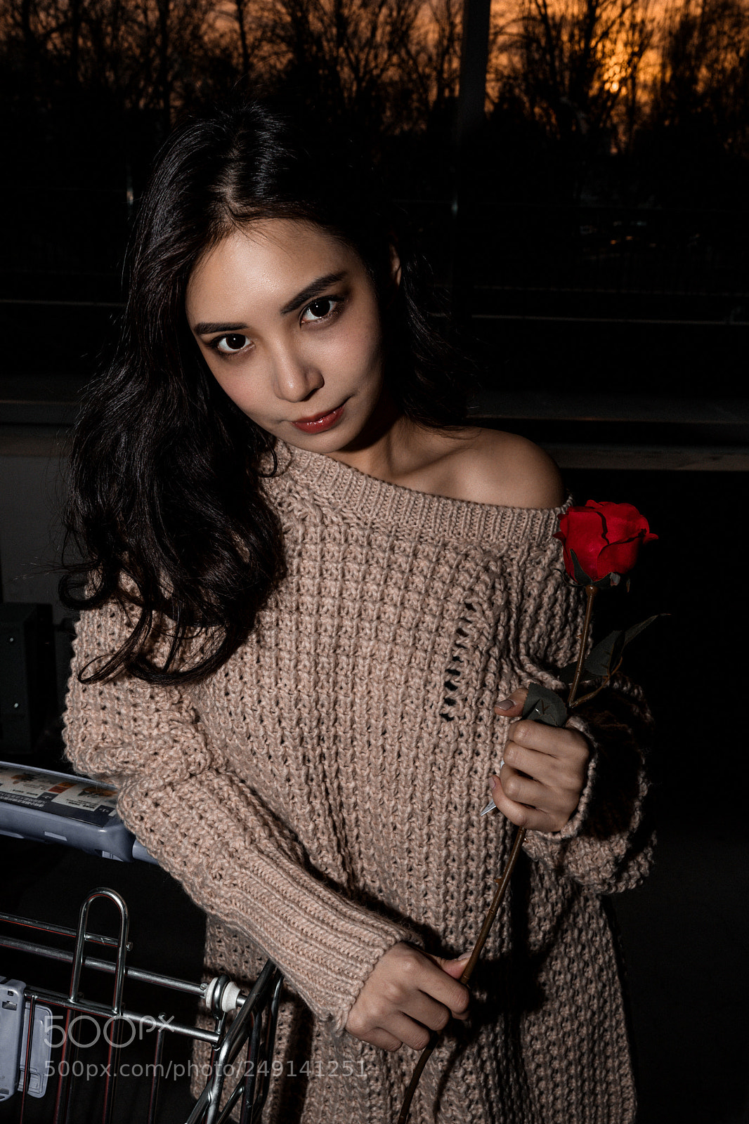 Canon EOS 5D Mark IV sample photo. Rose photography