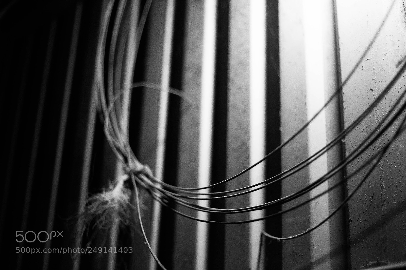 Canon EOS 5D sample photo. Black and white. photography