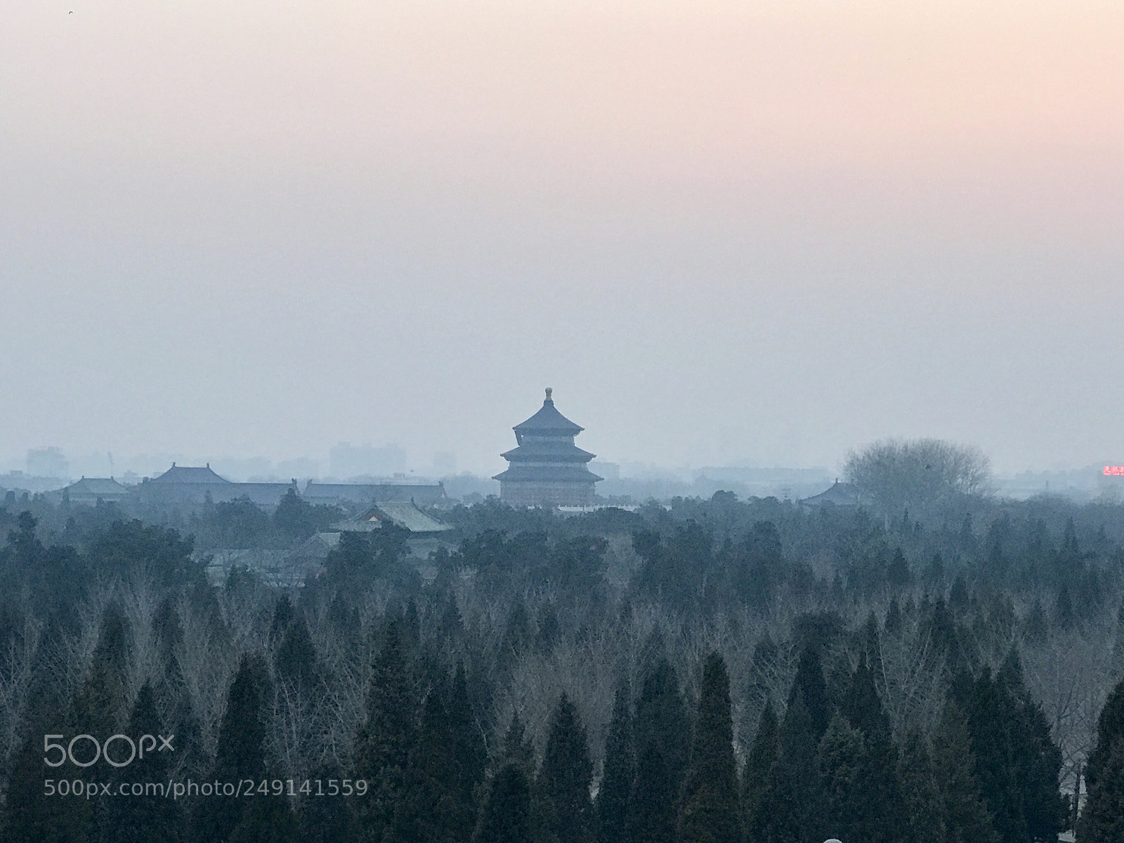 Apple iPhone 7 Plus sample photo. The temple of heaven photography
