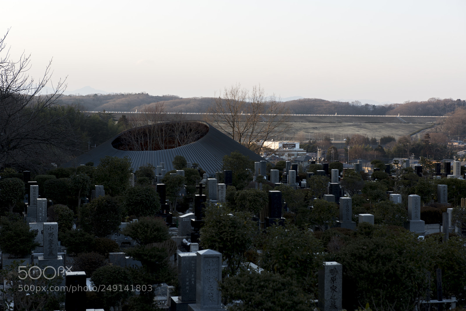 Nikon D810 sample photo. Sayama cementery photography