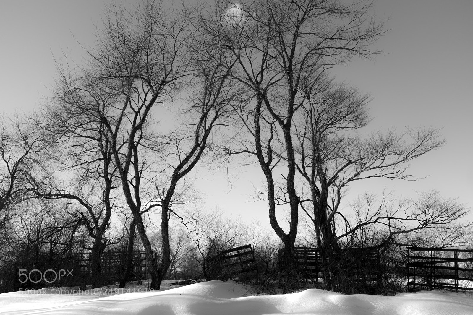 Fujifilm X100F sample photo. Winter's end photography