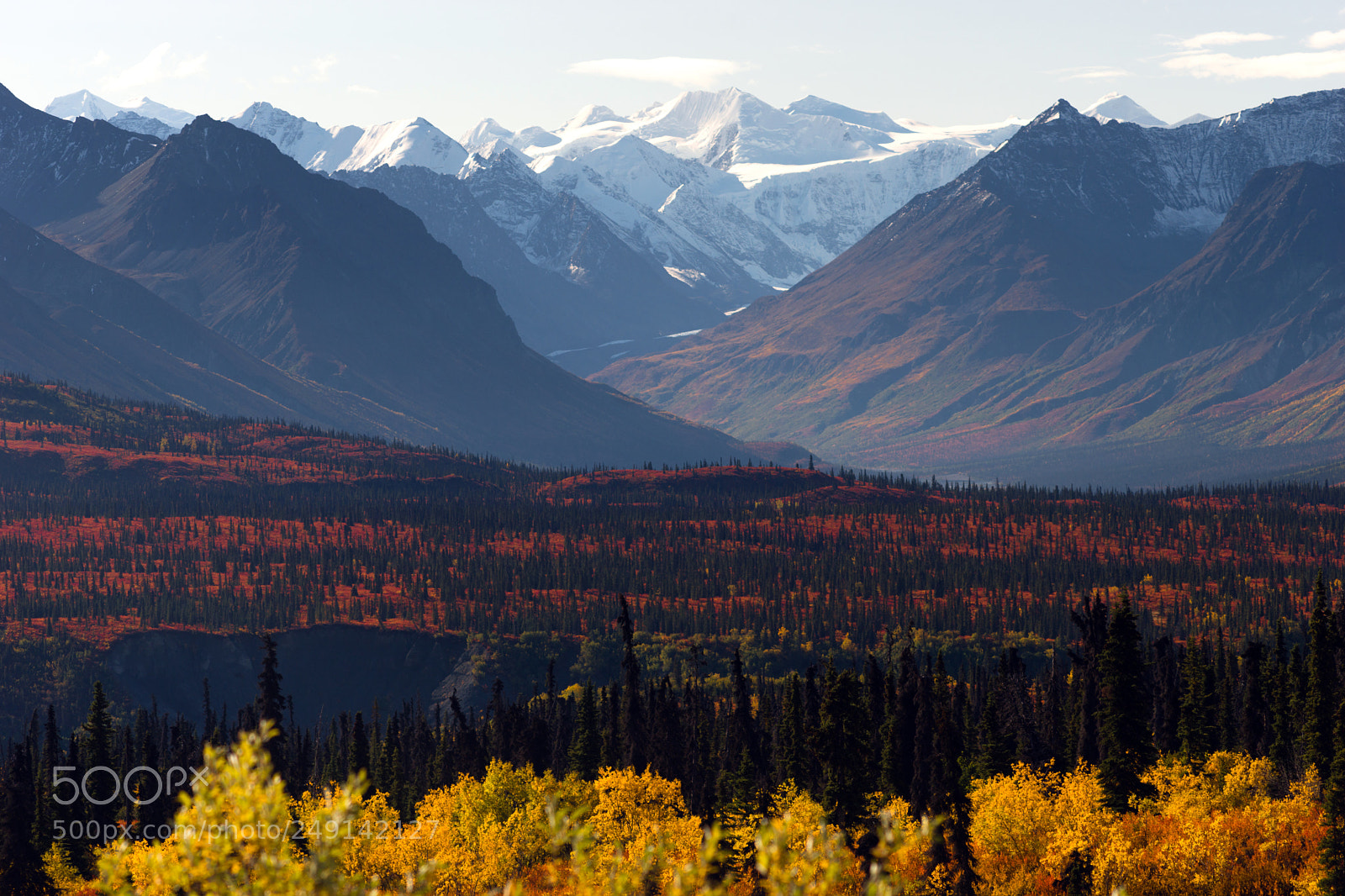 Sony SLT-A99V sample photo. Denali range autumn color photography