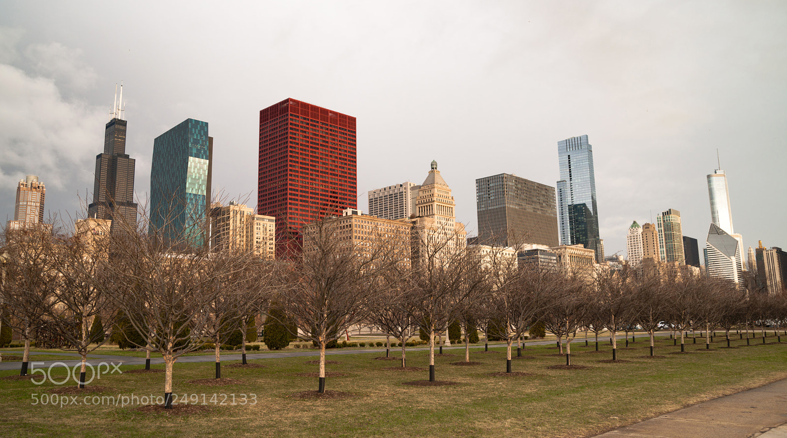 Sony Alpha DSLR-A900 sample photo. Downtown chicago illinois skyline photography
