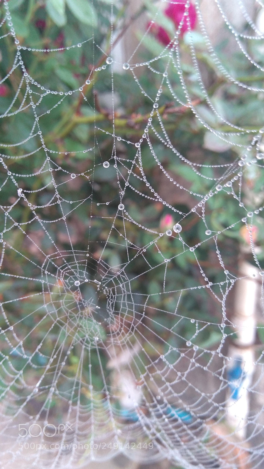 Motorola Moto G Play sample photo. Untitled photography