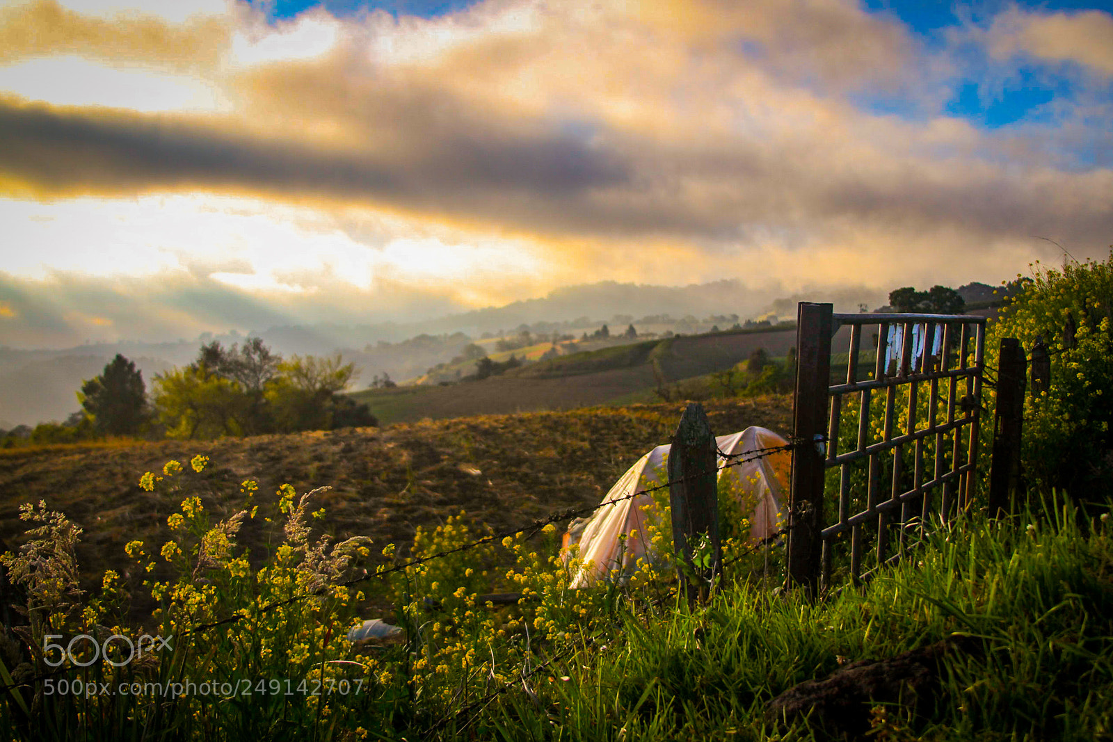 Canon EOS 7D sample photo. Costa rica photography